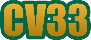 cv33